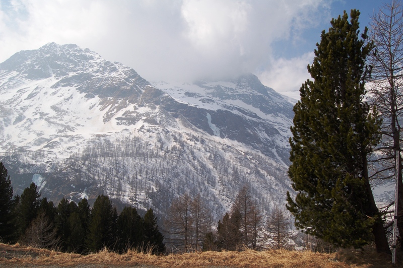 S.Moritz con il Bernina express