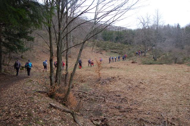 Alta valle del Brasimone