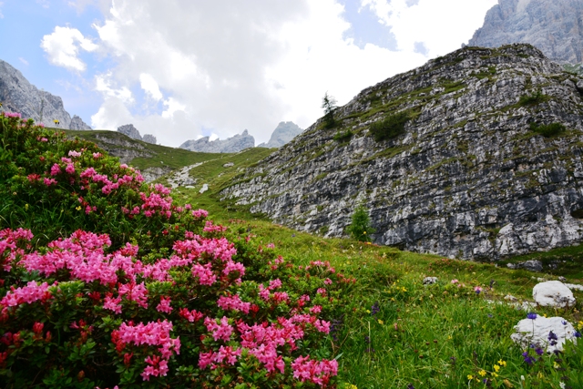 Attraversata del  Brenta
