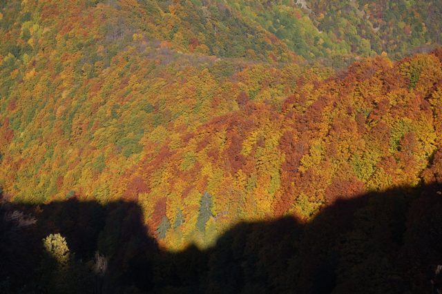 Campigna -Sacro eremo di Camaldoli