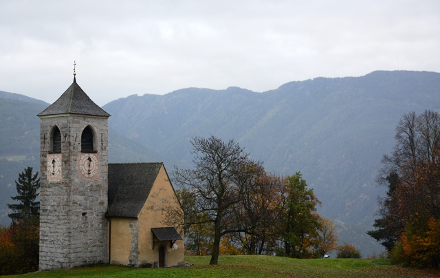 Sentiero del castagno