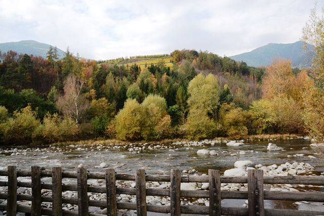 Sentiero del castagno