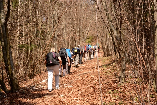 Col del Gallo-Cismon del Grappa