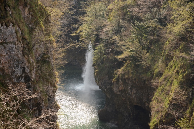 Col del Gallo-Cismon del Grappa