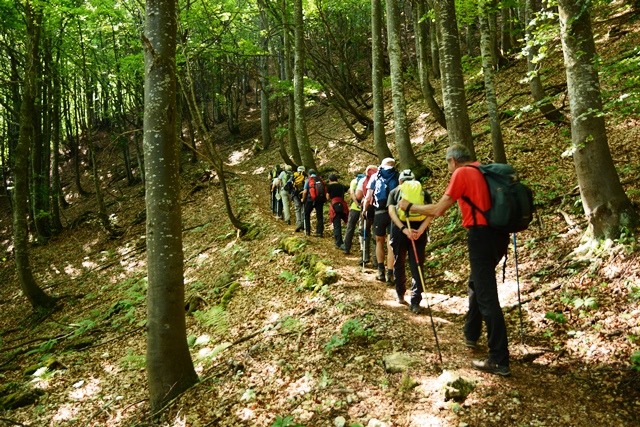 Piccole dolomiti- il Cornetto