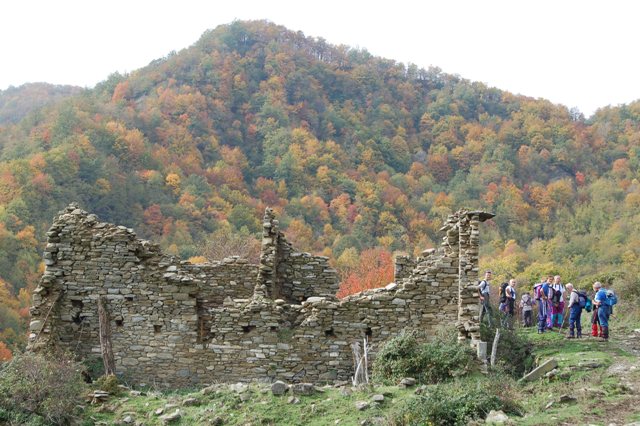 Corniolo - foreste casentinesi