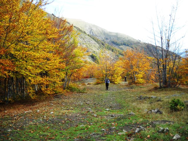 Da Monteorsaro al Cusna