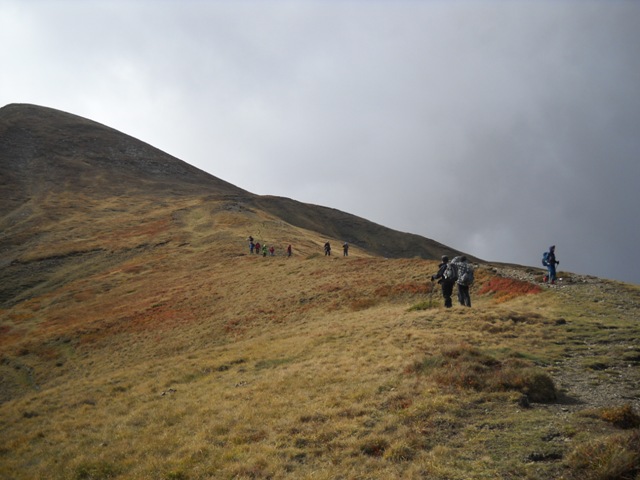 Da Monteorsaro al Cusna
