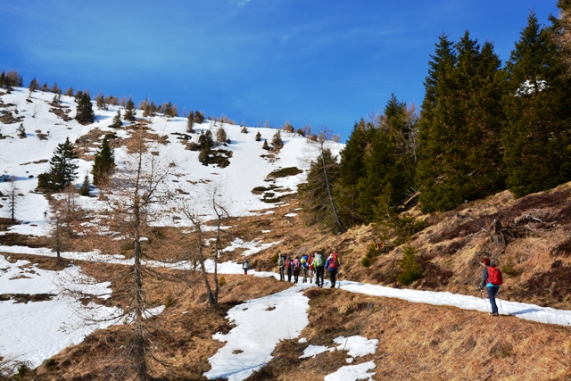 Ciaspolata in Val Sugana-rif. Erterle