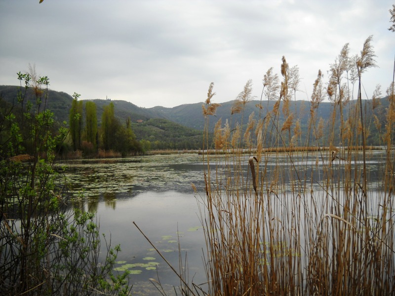 Lago di Fimon