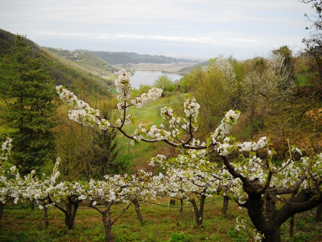 Lago di Fimon