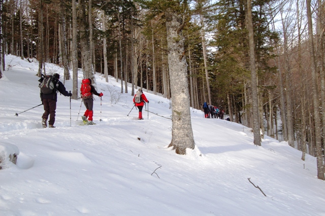 Folgaria - monte Cornetto