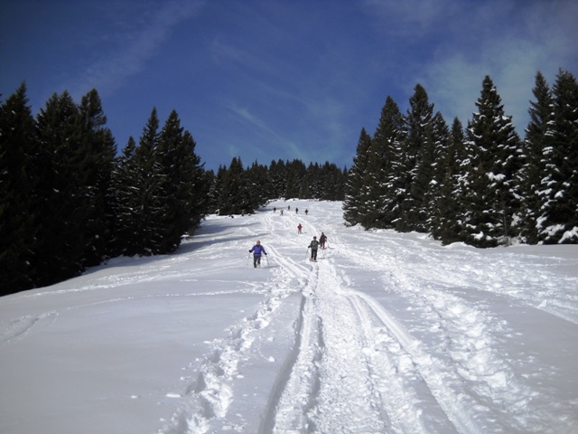 Folgaria - monte Cornetto