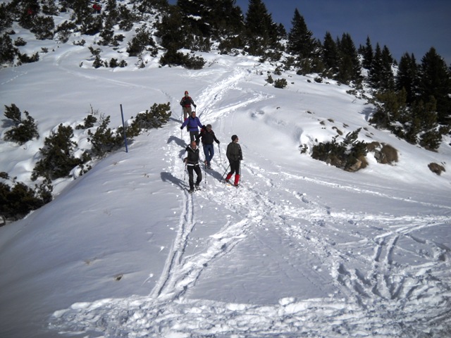Folgaria - monte Cornetto