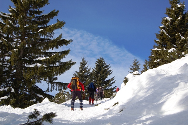 Folgaria - monte Cornetto