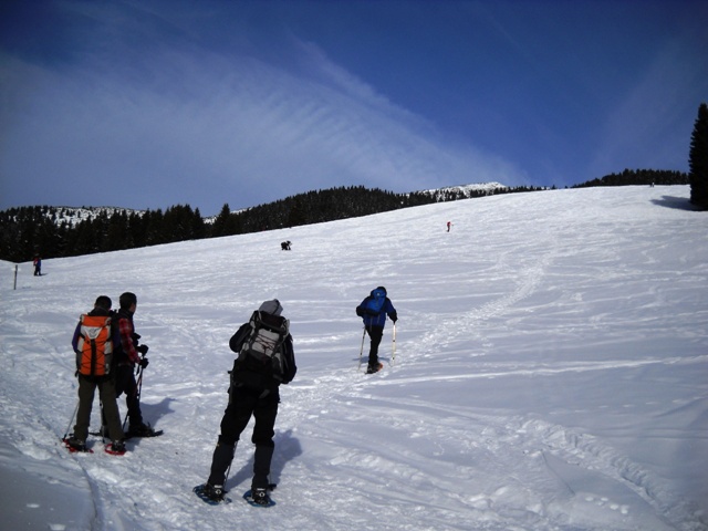 Folgaria - monte Cornetto