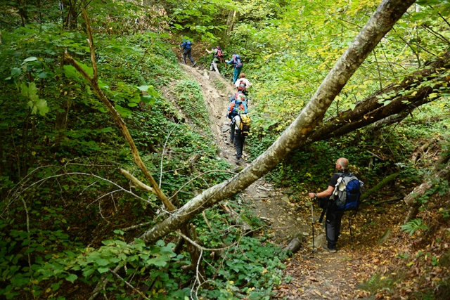 Da Marradi all'Eremo di Gamogna