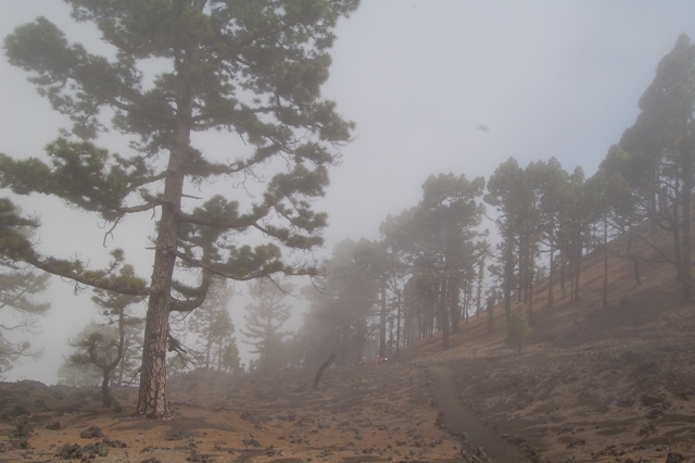 La Palma - La Gomera (Canarie)