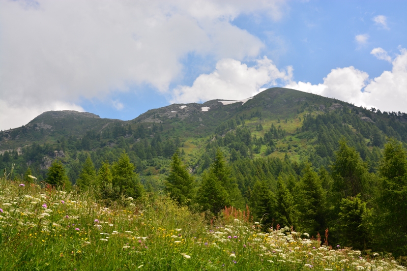 passo Cagnon  gruppo del Lagorai