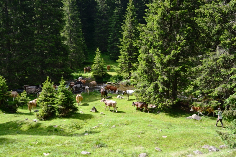 passo Cagnon  gruppo del Lagorai