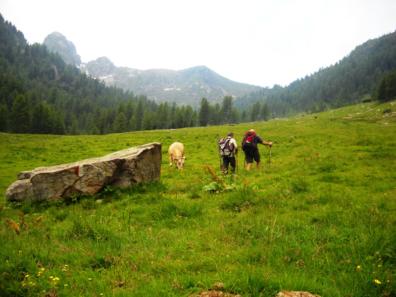 passo Cagnon  gruppo del Lagorai