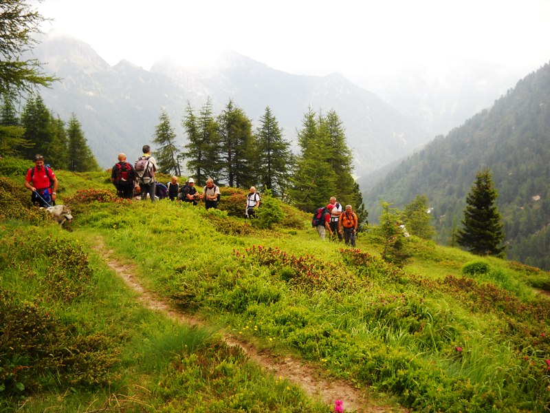 passo Cagnon  gruppo del Lagorai