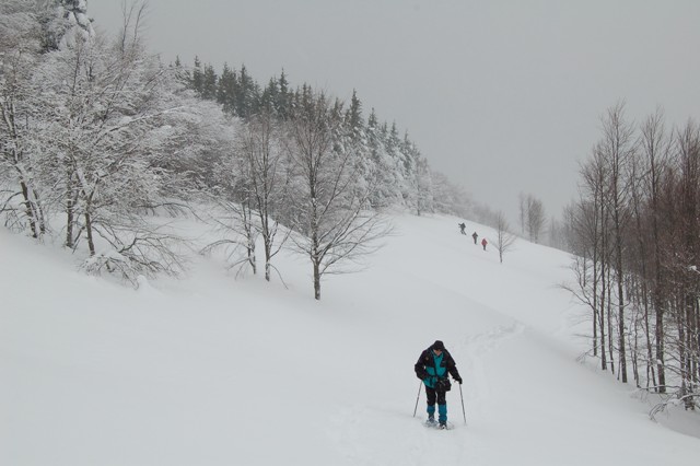 Da Casulie al monte Lancino