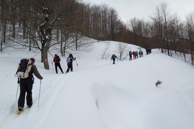 Da Casulie al monte Lancino