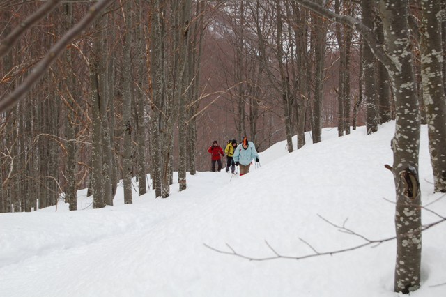 Da Casulie al monte Lancino