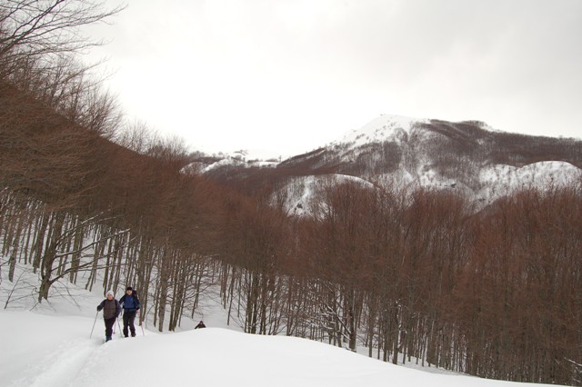 Da Casulie al monte Lancino