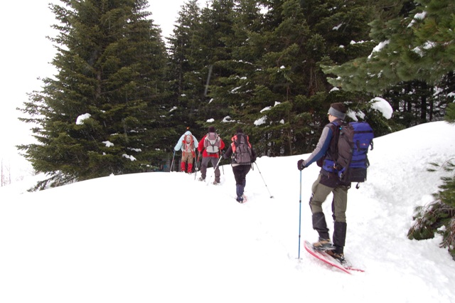 Da Casulie al monte Lancino