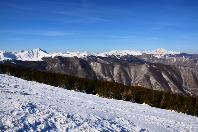 Ciaspolata al monte 