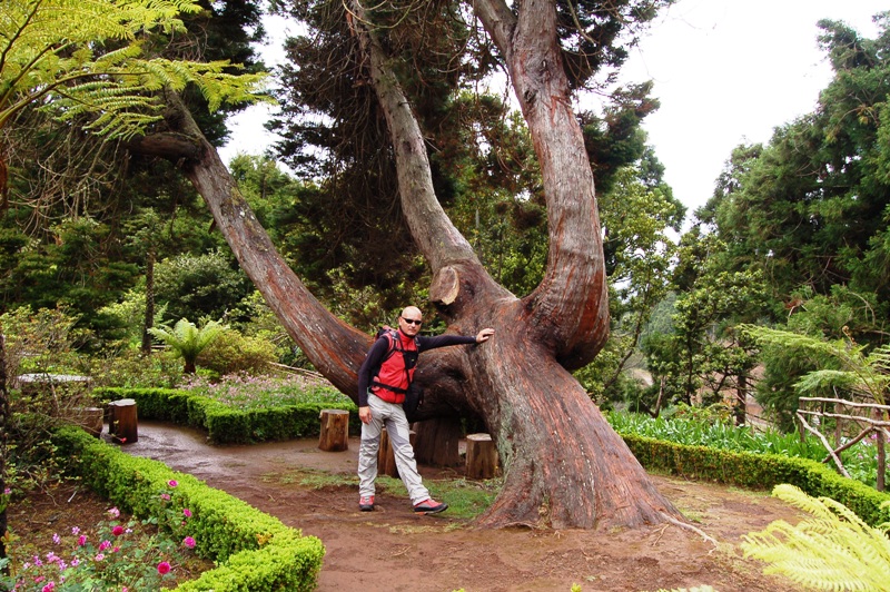 Isola di Madeira - Portogallo