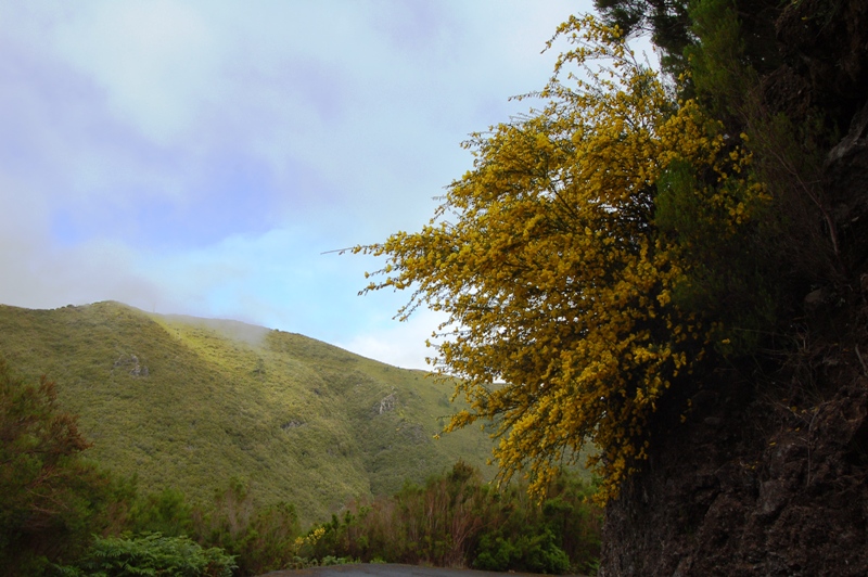 Isola di Madeira - Portogallo