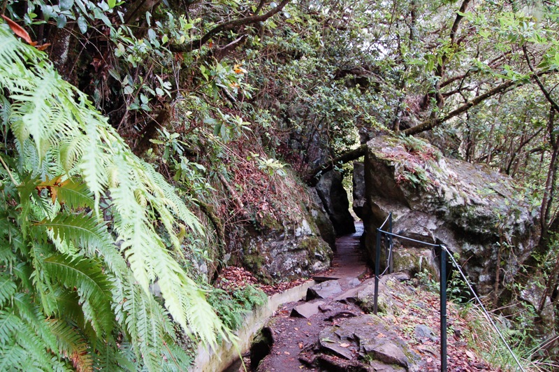 Isola di Madeira - Portogallo