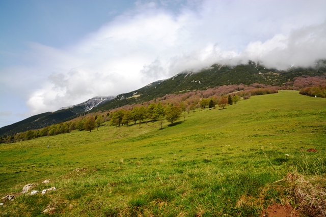 Monte Baldo-Madonna della neve