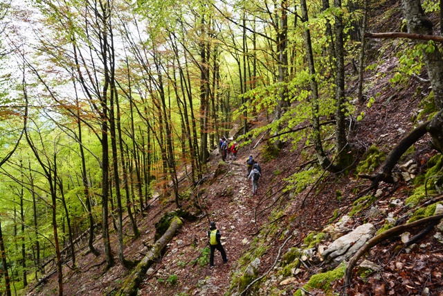 Monte Baldo-Madonna della neve