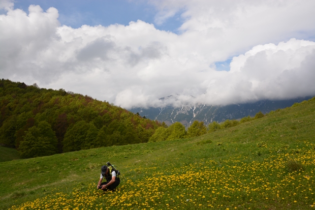 Monte Baldo-Madonna della neve