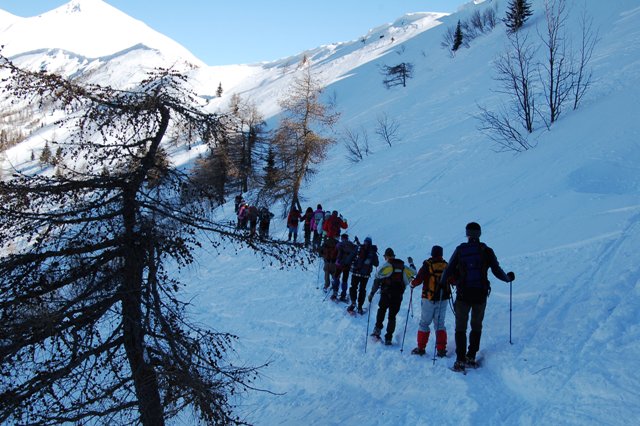 Monte Fravort - Valle dei Mocheni