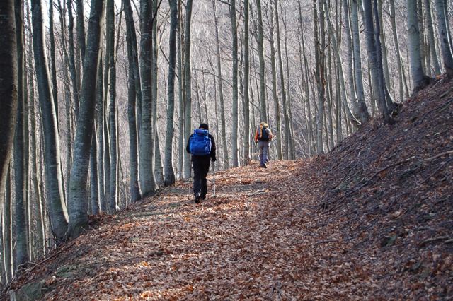 Monteacuto delle Alpi 2007