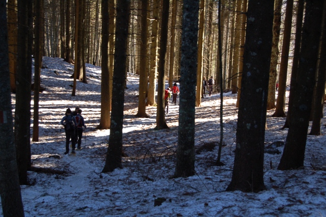 Monte Erio