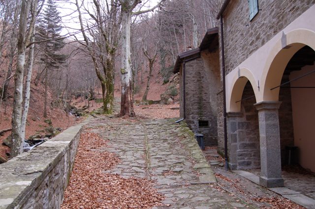 Monteacuto dell'Alpi - Madonna del Faggio