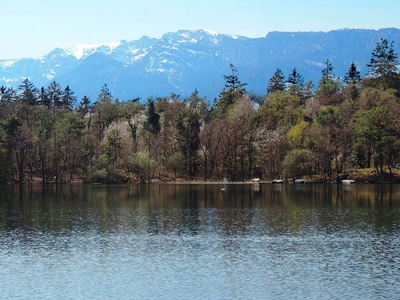 Laghi di Monticolo