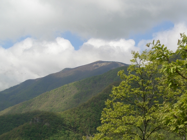 Monte Pizzo - Monte Grande