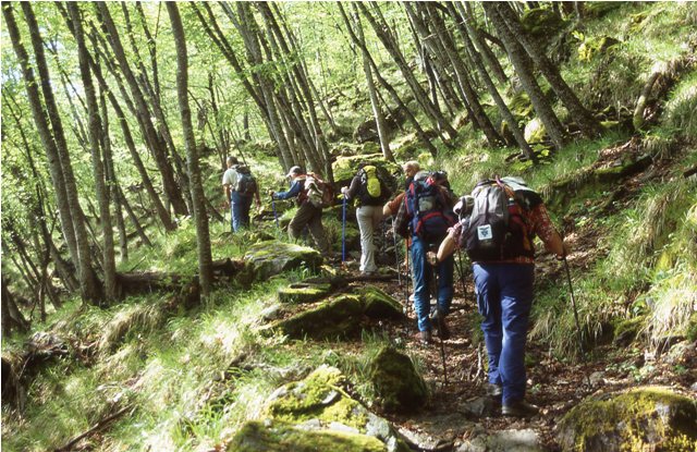 Monte Pizzo - Monte Grande