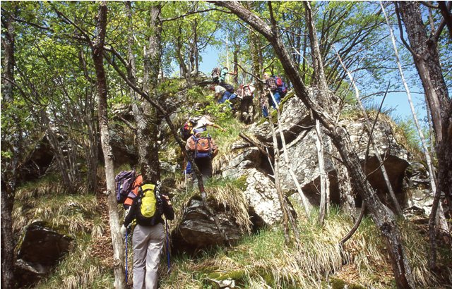 Monte Pizzo - Monte Grande