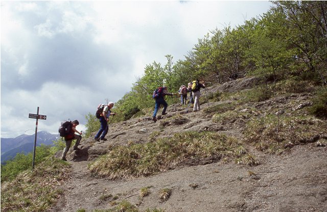 Monte Pizzo - Monte Grande