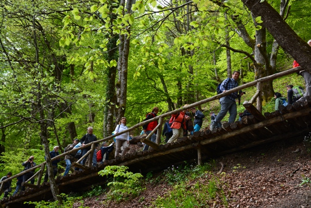 Laghi di Plitvice