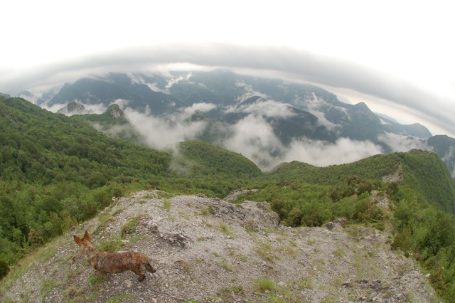 Parco Nazionale del Pollino