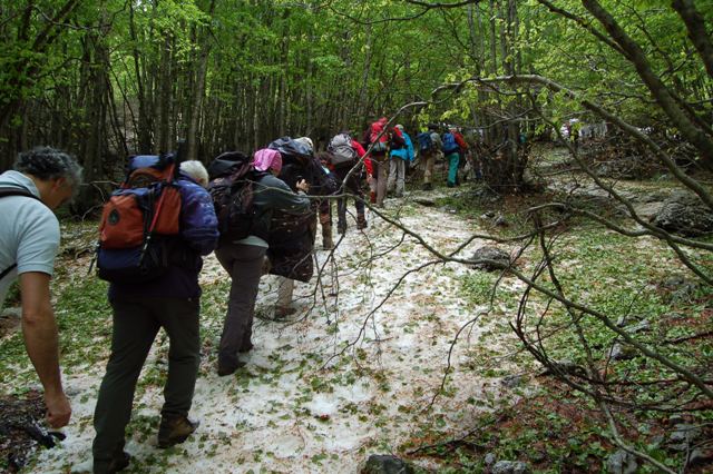 Parco Nazionale del Pollino